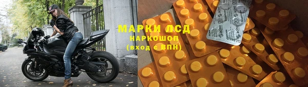 индика Беломорск