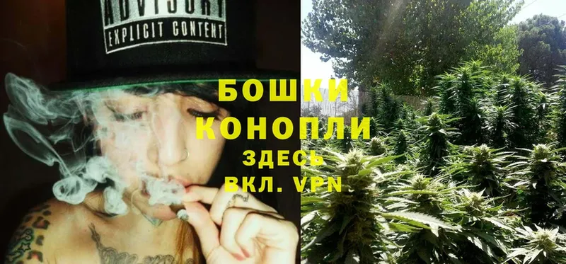 закладки  Вязники  Конопля LSD WEED 